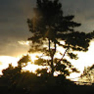 Meet your Posher, Helen